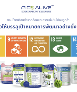 Pico Alive (Thailand) image